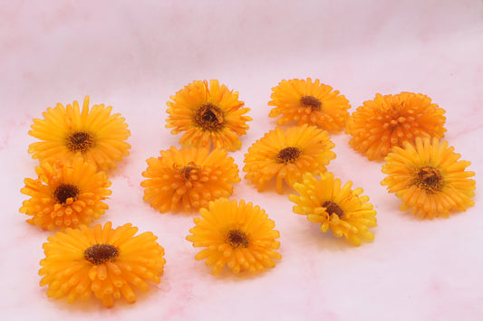 Gevriesdroogde eetbare bloemen shop, bloemenshop, Floral Delight. Online bestellen