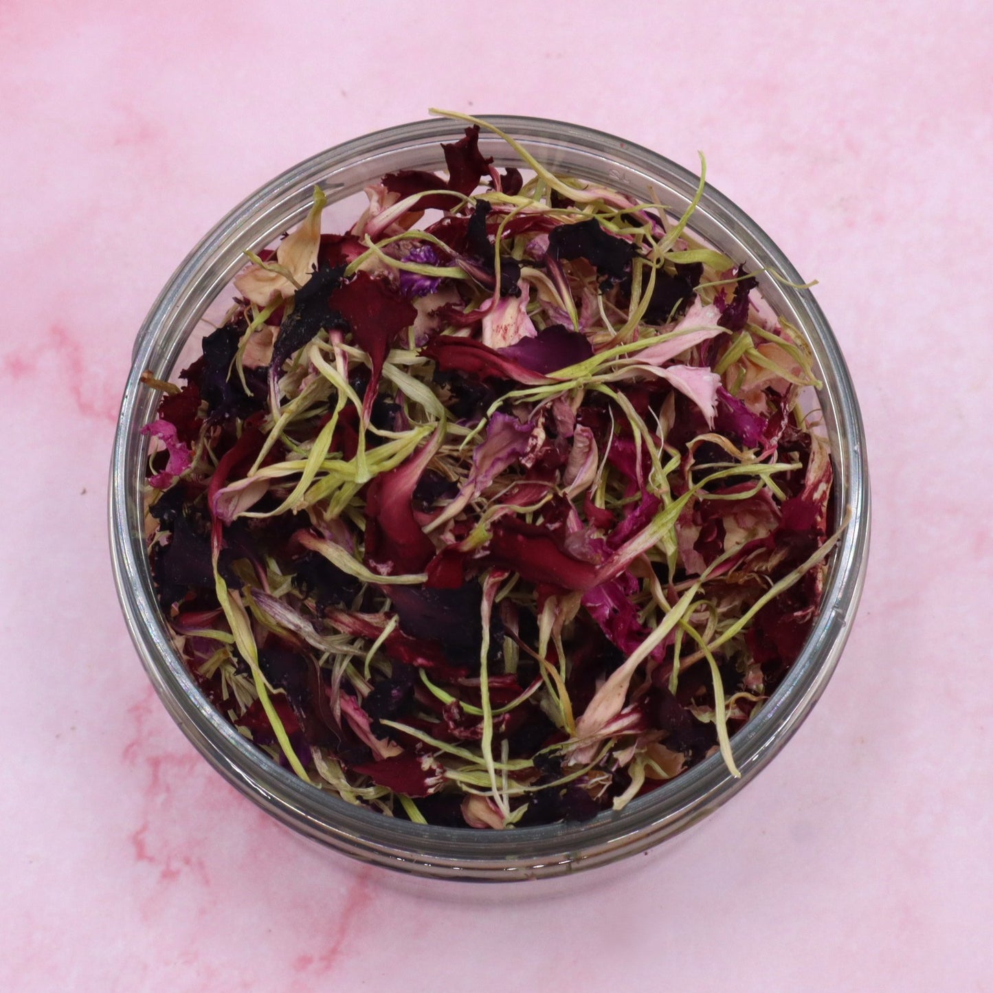 Carnation Sprinkle