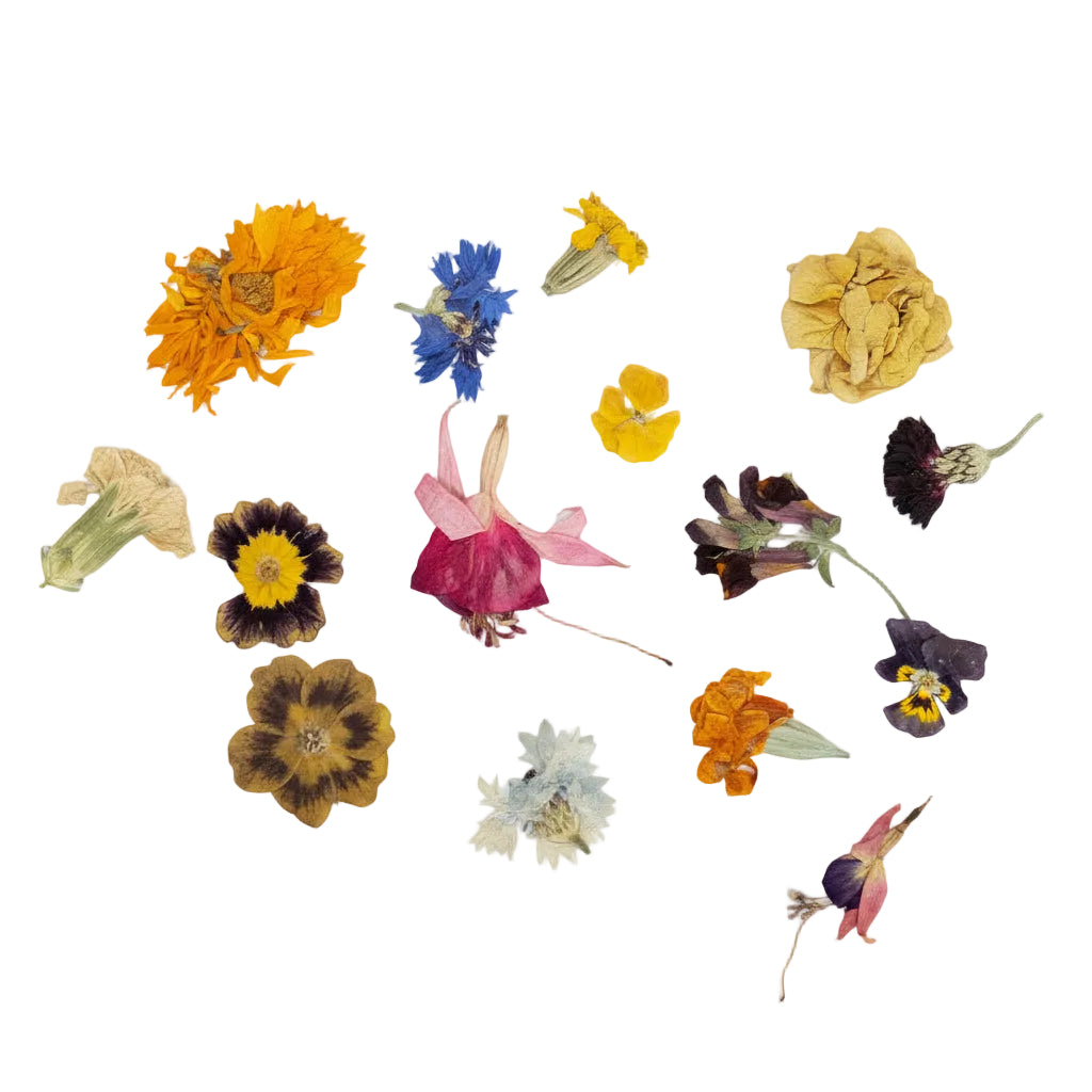 Geperste bloemen mix zonder steel