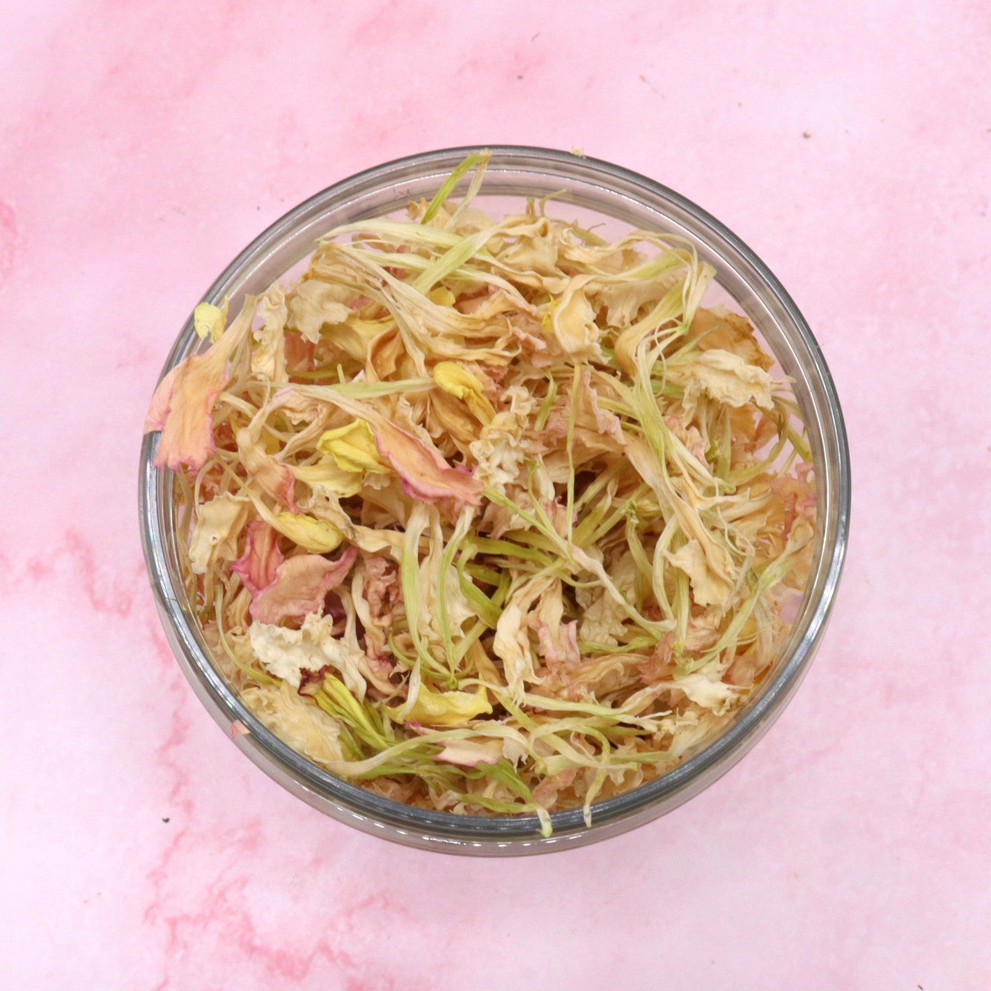 Carnation Sprinkle