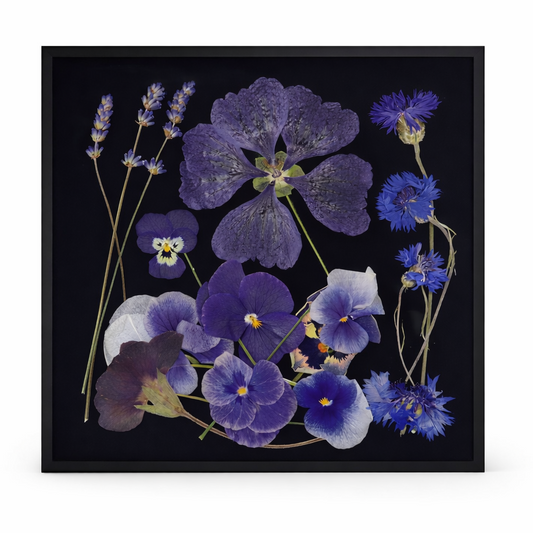 Blauwe paarse Mix geperste bloemen