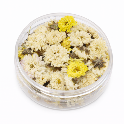 Eetbare gedroogde chrysanten