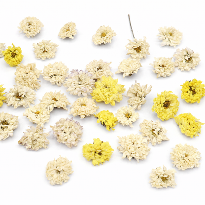 chrysanten voor cupcakes, taarten, baksels