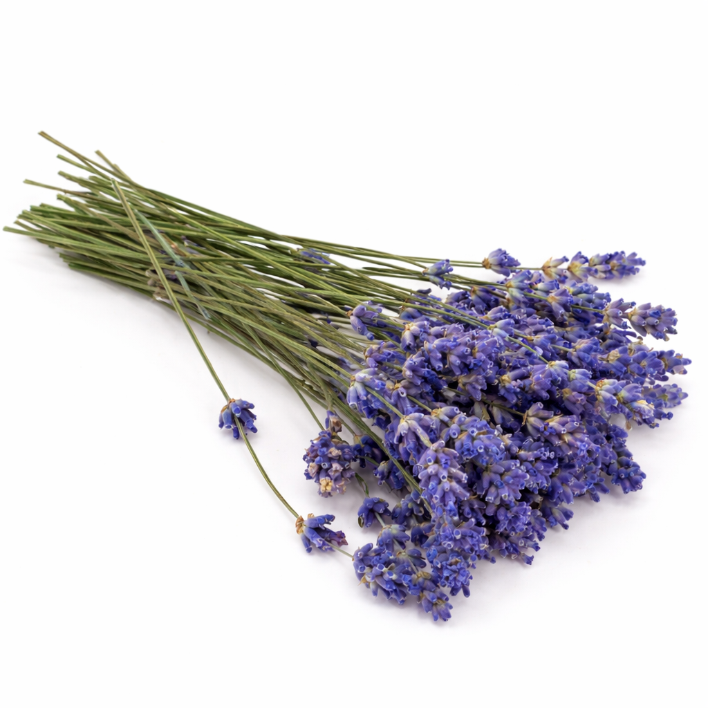 Gedroogde eetbare lavendel