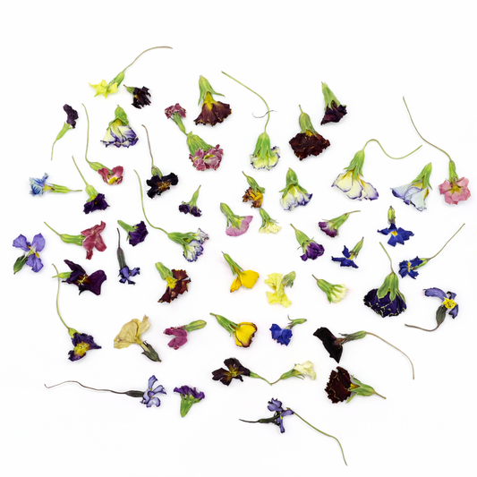 Gedroogde eetbare bloemen, lang houdbaar