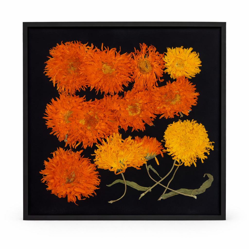 eperste goudsbloem. Eetbare geperste bloemen. Geel en Oranje. Floral Delight