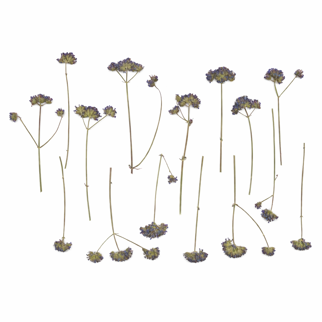 Takjes eetbare verbena voor op een bruidstaart