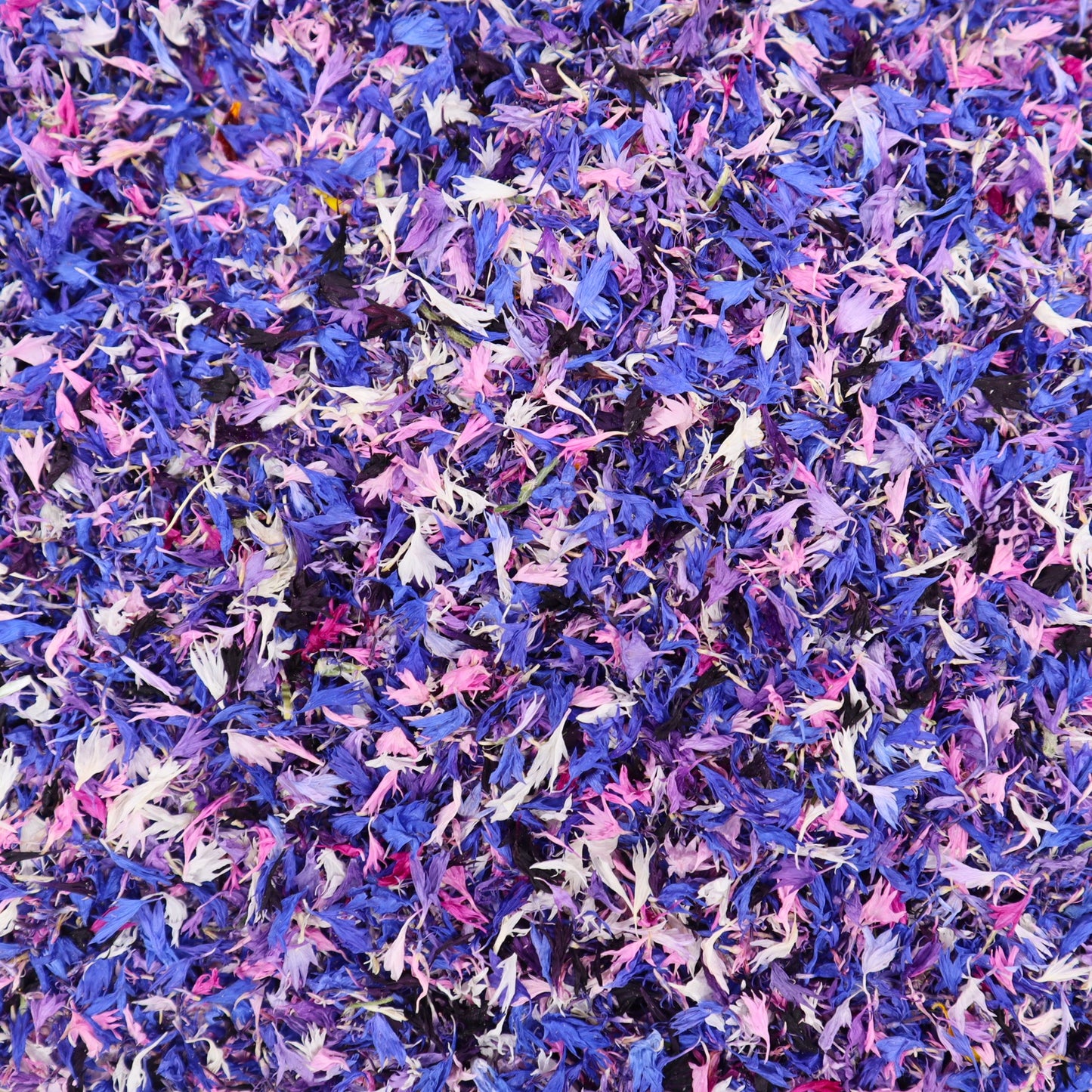  Analyzing image     korenbloem_mix_sprinkle  1984 × 1984 px  gedroogde korenbloem sprinkle. Floral Delight. Eetbare bloemen gedroogd