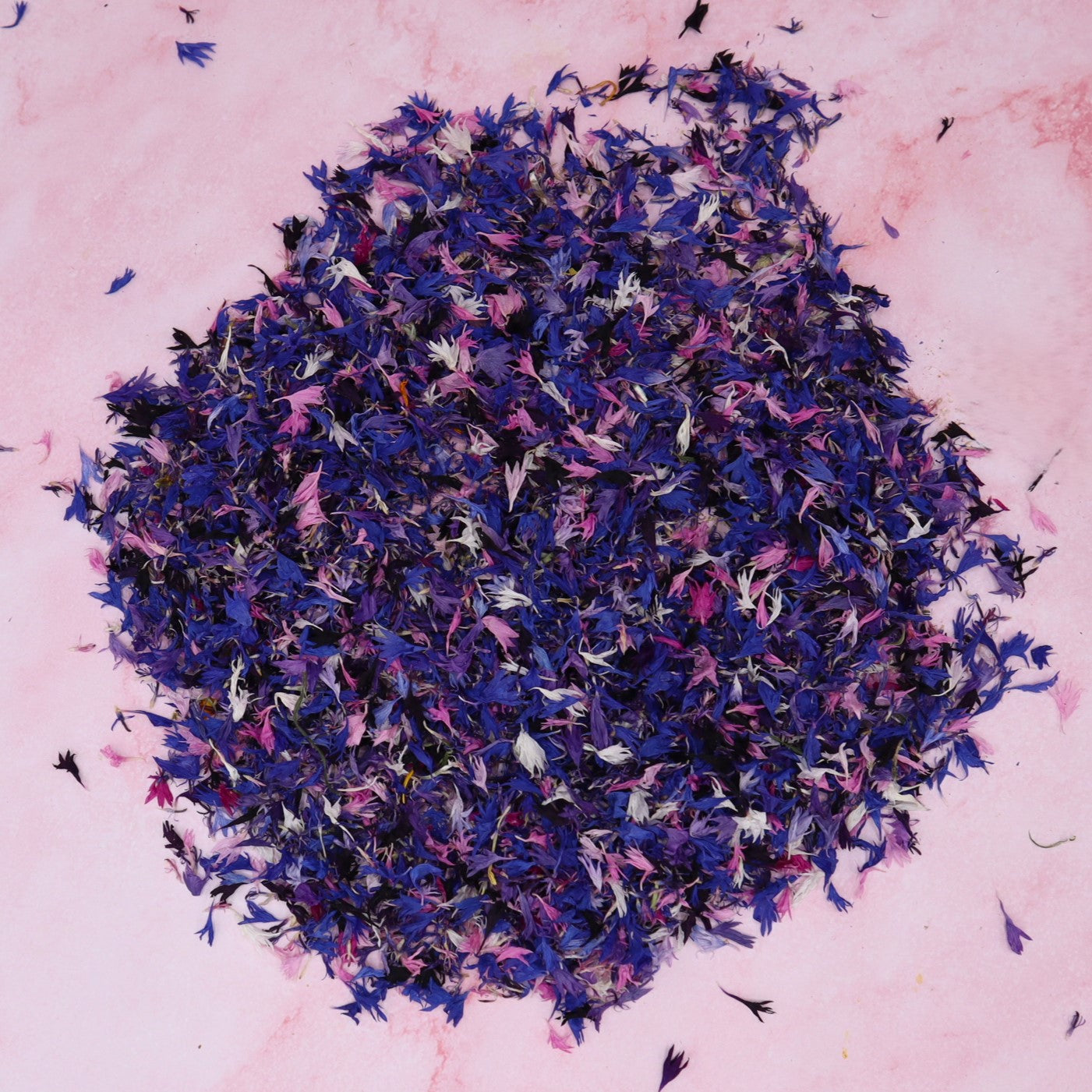 Cornflower Sprinkle