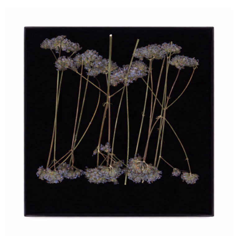 eetbare takjes voor bruidstaart