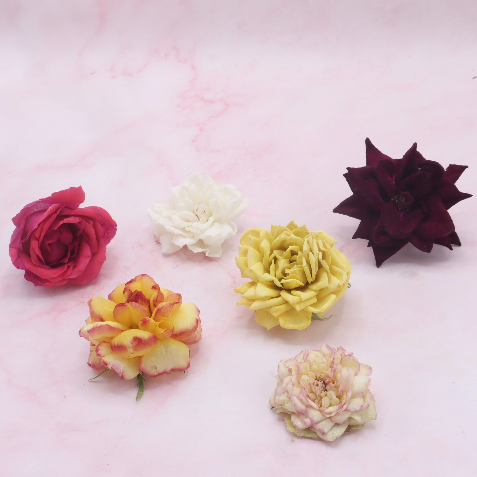 gevriesdroogde rozen. freeze-dried edible roses