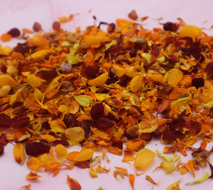 Tagetes Sprinkle